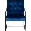 Picture of Ani Metal Tufted Blue Accent Chair
