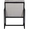 Picture of Ani Metal Tufted Gray Accent Chair