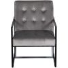 Picture of Ani Metal Tufted Gray Accent Chair