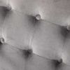 Picture of Ani Metal Tufted Gray Accent Chair