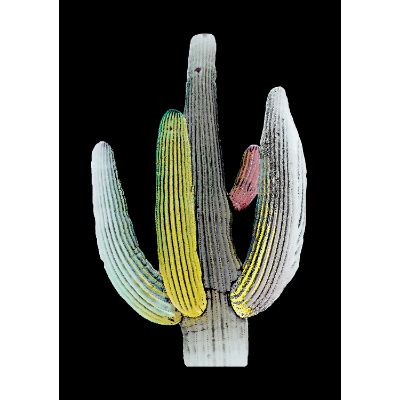 Picture of Midnight Saguaro