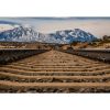 Picture of Dos Hermanos Highway