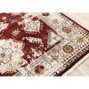 Picture of Serene Tribal Red Neutral Rug