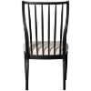 Picture of Dakota Ridge Side Chair