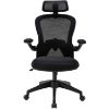 Picture of Blk Mesh Office Chair