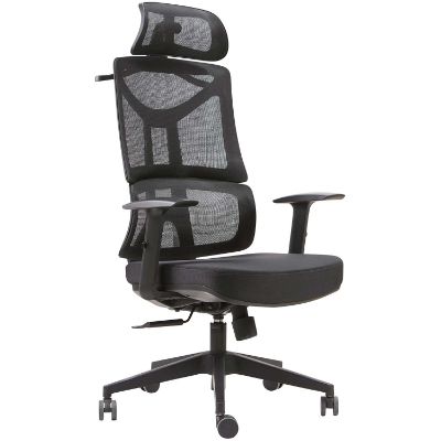 Picture of Mesh Office Chair W Adj Lumbar