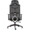 Picture of Mesh Office Chair W Adj Lumbar