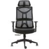 Picture of Mesh Office Chair W Adj Lumbar