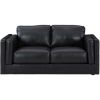 Picture of Amiata Onyx Leather Loveseat