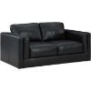 Picture of Amiata Onyx Leather Loveseat