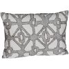 Picture of Silver Lining 14x20 Pillow