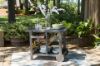 Picture of Kailani Serving Cart, Gray