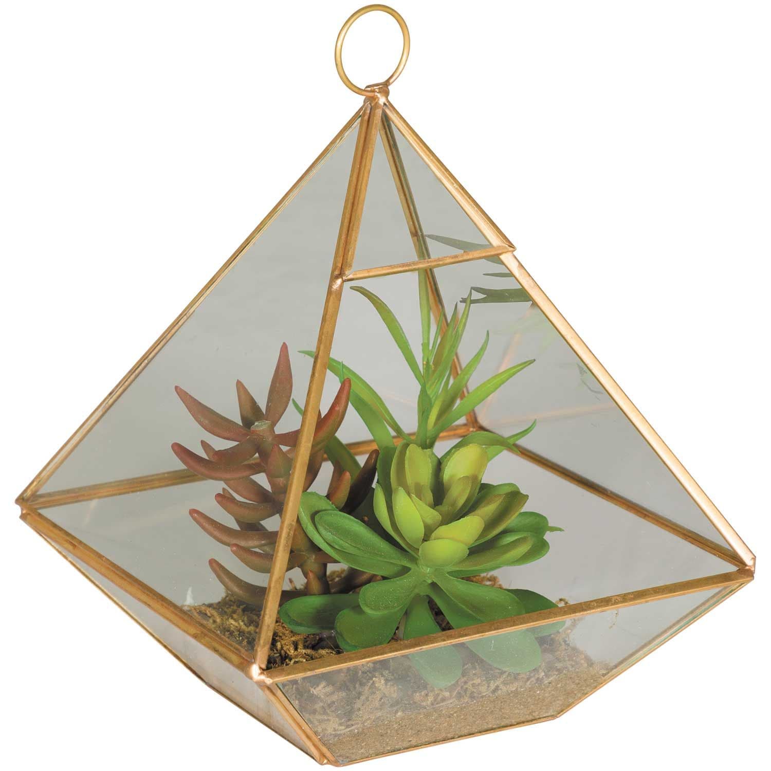 Succulent Terrarium