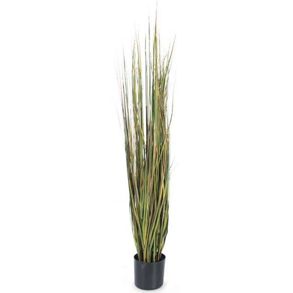 Mixed Green Grass