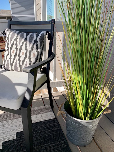 Decorative Grass