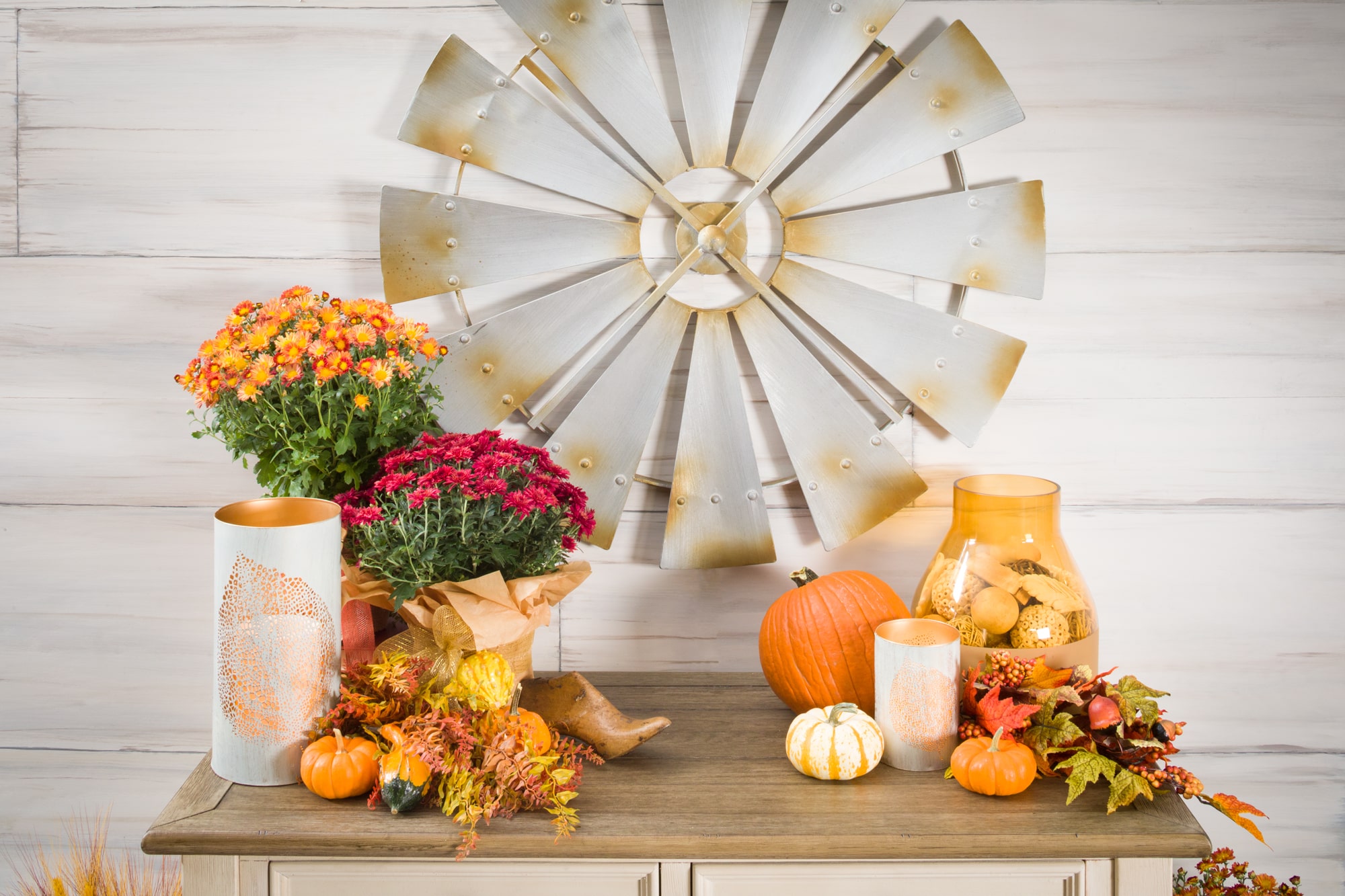 Seasonal flowers and pumpkins